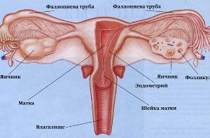 Симптомы опущения матки